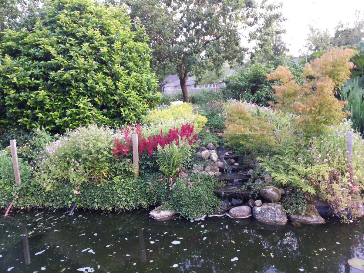 B&B Kleintje Eleveld Bagian luar foto