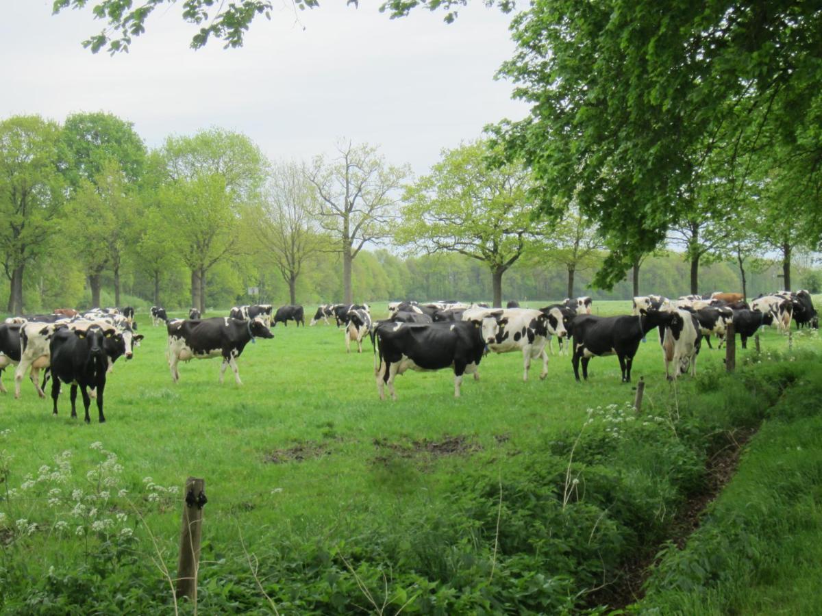 B&B Kleintje Eleveld Bagian luar foto