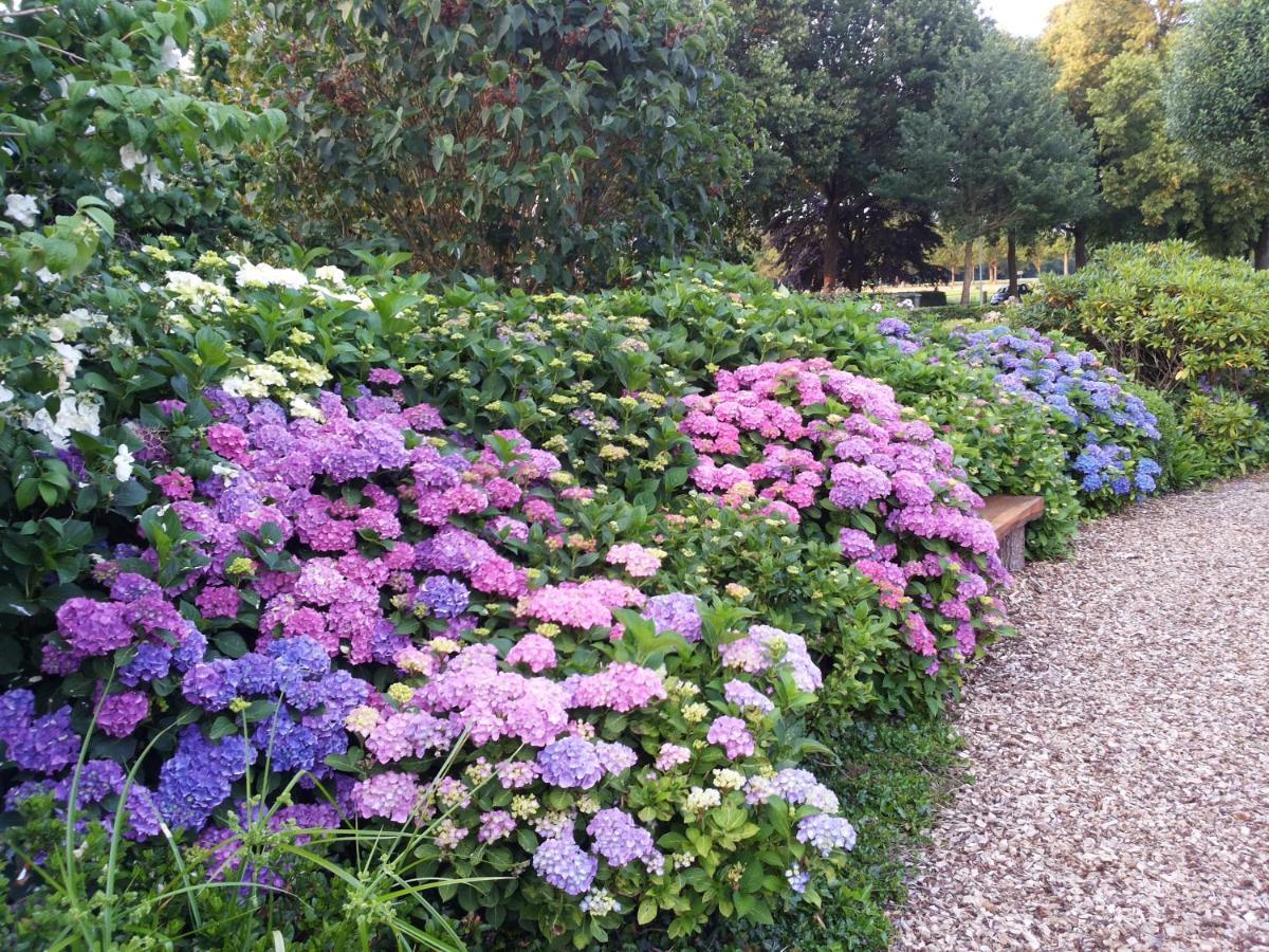 B&B Kleintje Eleveld Bagian luar foto