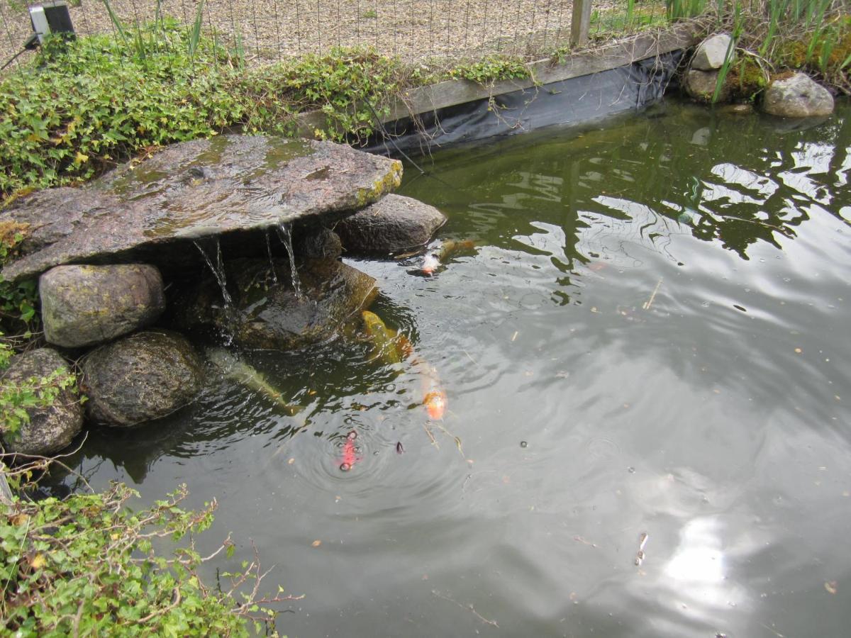 B&B Kleintje Eleveld Bagian luar foto