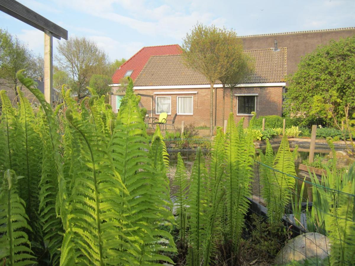 B&B Kleintje Eleveld Bagian luar foto